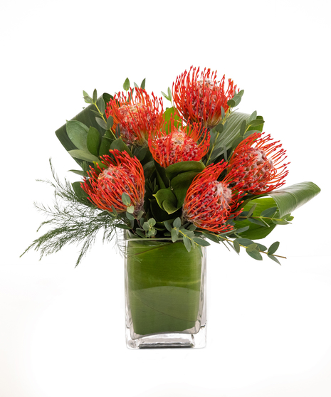 Pincushion Protea Vase