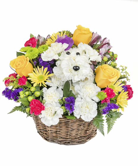Cute Dog in Basket