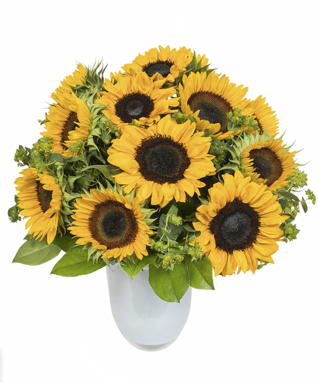 Sunflowers in White Glass Vase