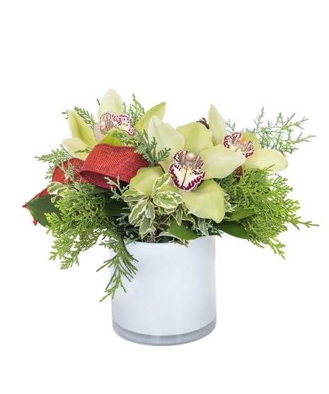 Petite Pop of Holiday