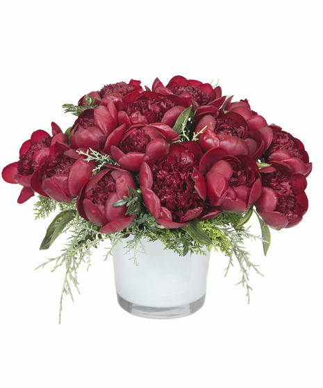 Holiday Peonies in Boston, MA