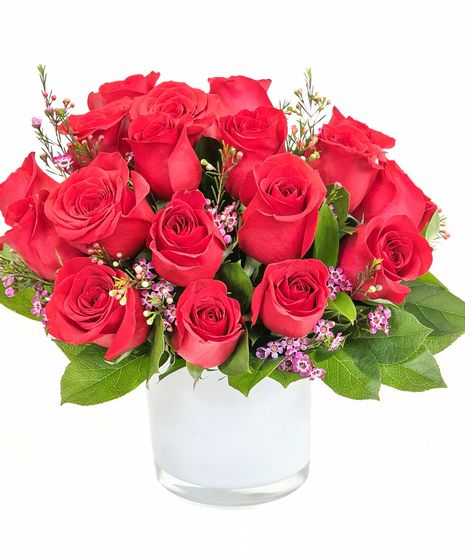 Red Rose Romance in Boston, MA 