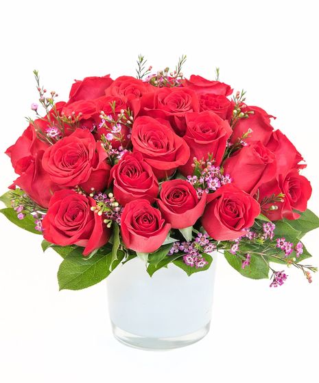 Red Rose Romance