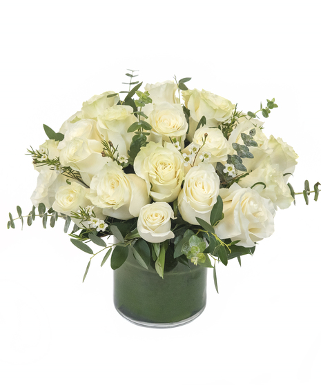 Modern White Roses