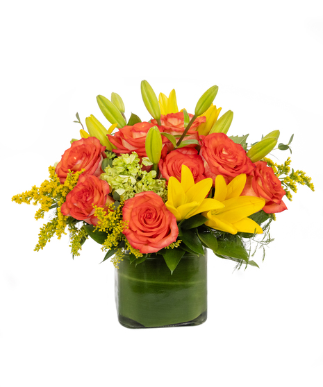 Yellow tulips, orange lilies, orange roses and hydrangea make up this sunny cube. Great for any autumn gathering