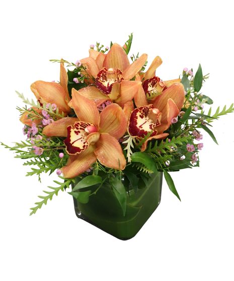 Cube of Autumn Orchids