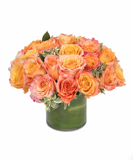 Free Spirit Rose Cylinder