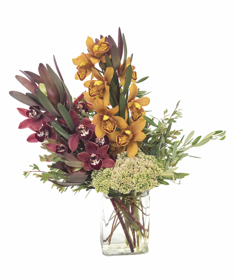 Autumn Mini Cymbidium Orchid Duo/Trio in Boston, MA 