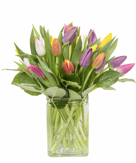 Cube of Mixed Tulips in Boston, MA - Same-day Delivery