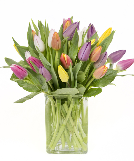 Cube of Mixed Tulips in Boston, MA - Same-day Delivery