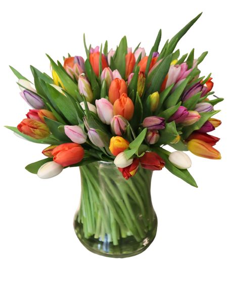 Bountiful Tulips