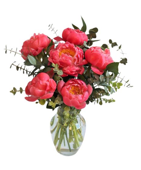 Coral Charm Peonies in Boston, MA