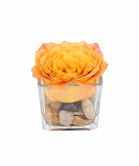 Mini Floating Rose Cube