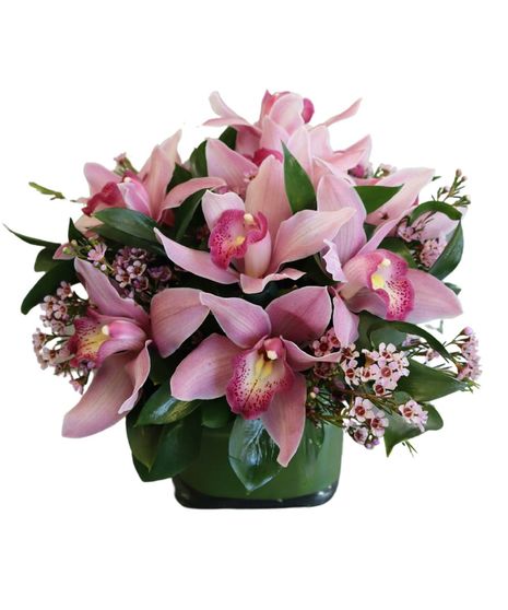 Cube of Pink Orchids