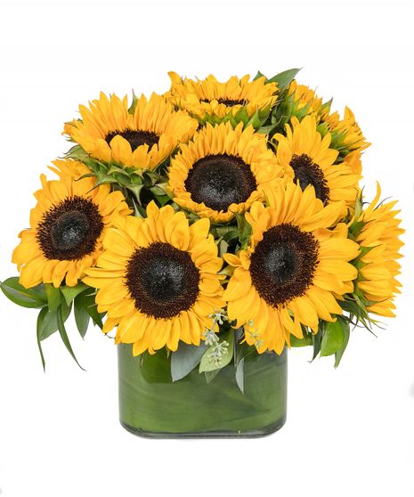 Sunflower Bouquet Boston, MA - Simple and sunny. This cheerful cube of sunflowers is sure to put a smile on their face! 