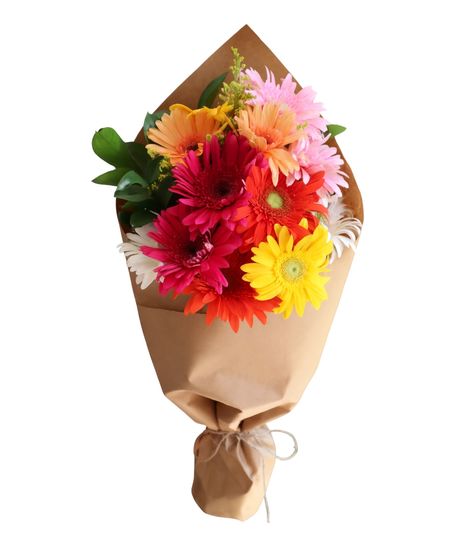 Gerbera Daisy Bunch