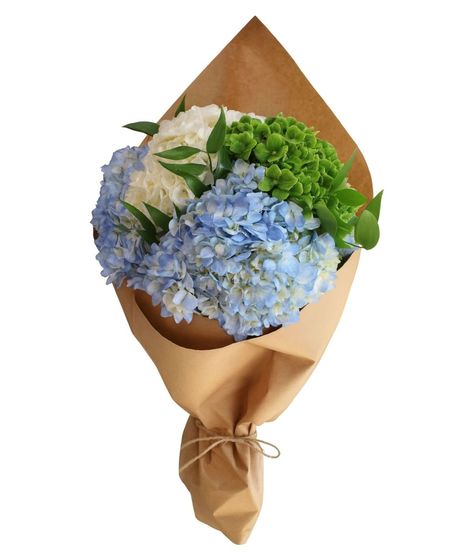 Hydrangea Bunch in Boston, MA