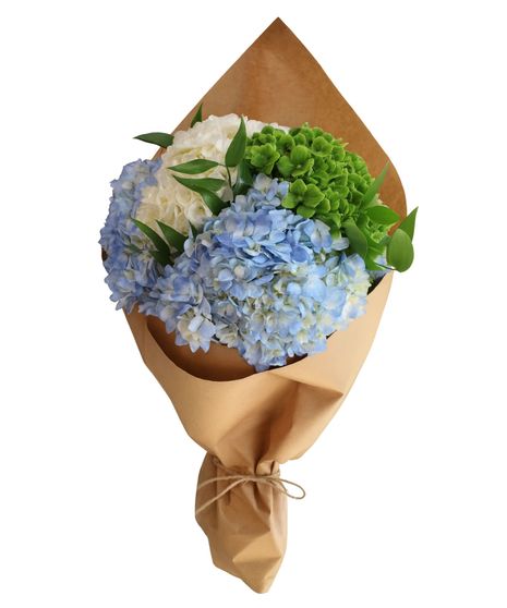 Hydrangea Bunch