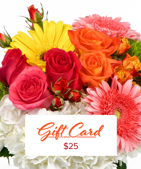 $25 E-Gift Card