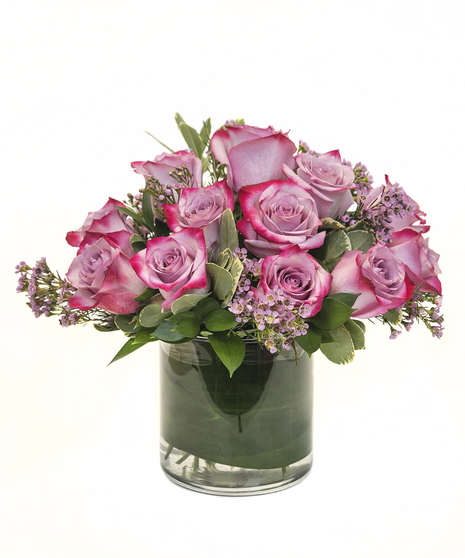 Purple Roses Boston, MA - Same-day Delivery - Central Square Florist