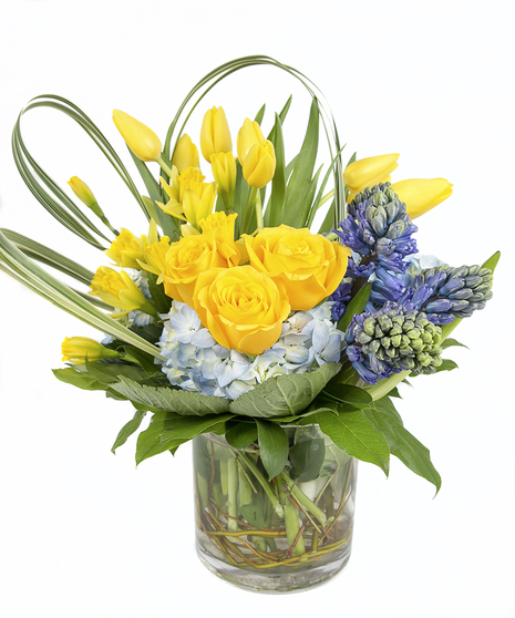 Tulip, Daffodil, Hyacinth, Hydrangea in Boston, MA - Central Square Florist