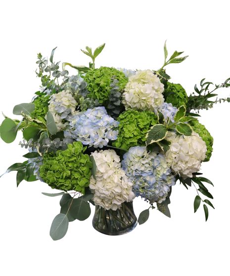 New England Summer in Boston, MA