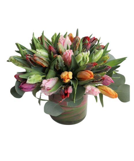Novelty Tulips