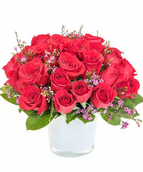 Red Rose Romance in Boston, MA 