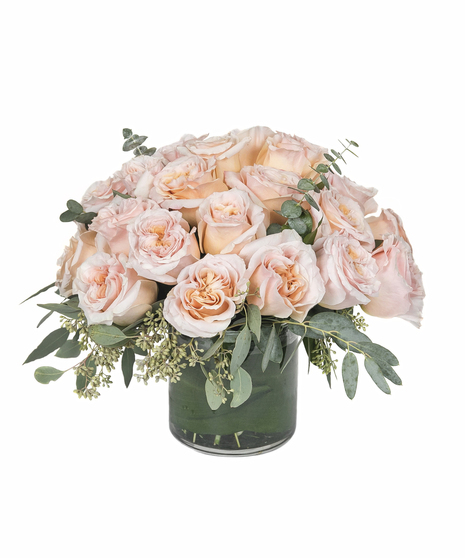 Lush Shimmer Roses in Boston, MA | Central Square Florist