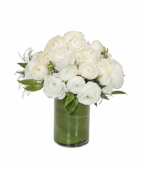 Ranunculus in Boston, MA
