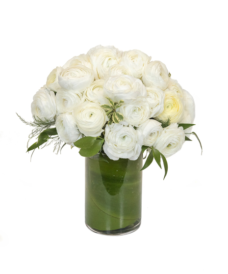 Ranunculus in Boston, MA