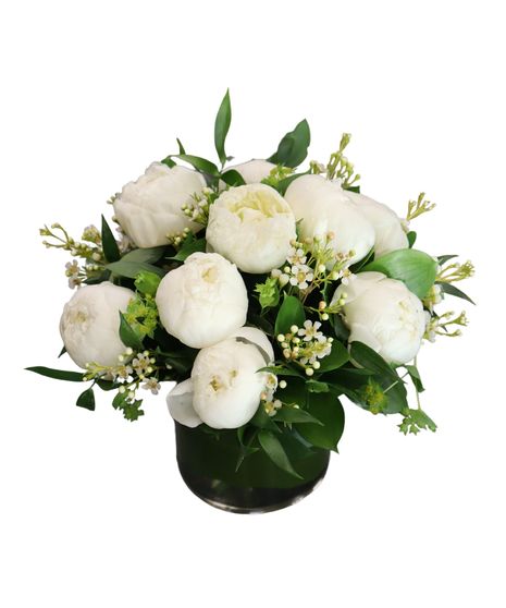 Sympathy Flowers | Vase of white peonies