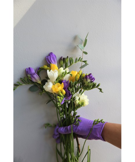 Freesia Bunch Curbside Pick Up Boston, MA