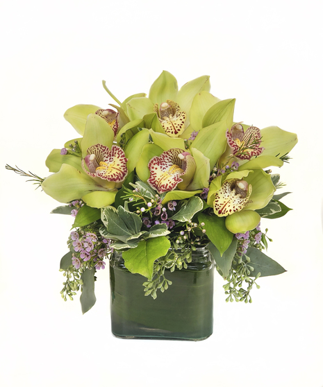 Lovely Orchids Arrangement in Cambridge, MA - Central Square Florist 