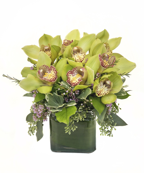 Lovely Orchids