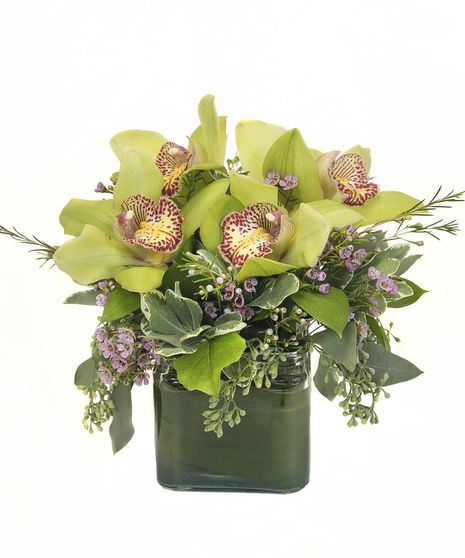 Lovely Orchids Arrangement in Cambridge, MA - Central Square Florist