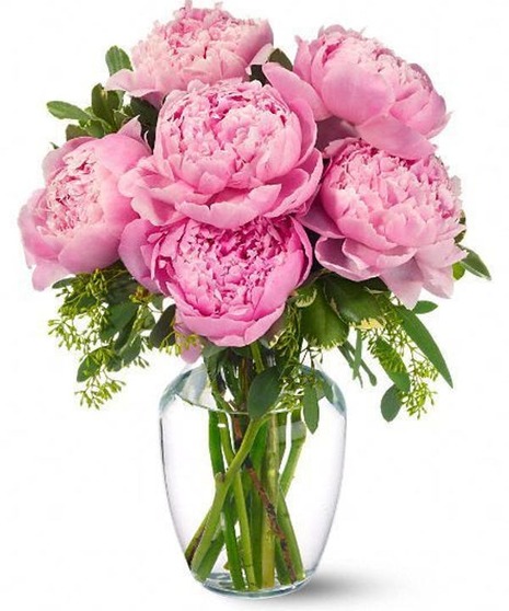 Peonies in Pink in Boston (MA) Central Square Florist