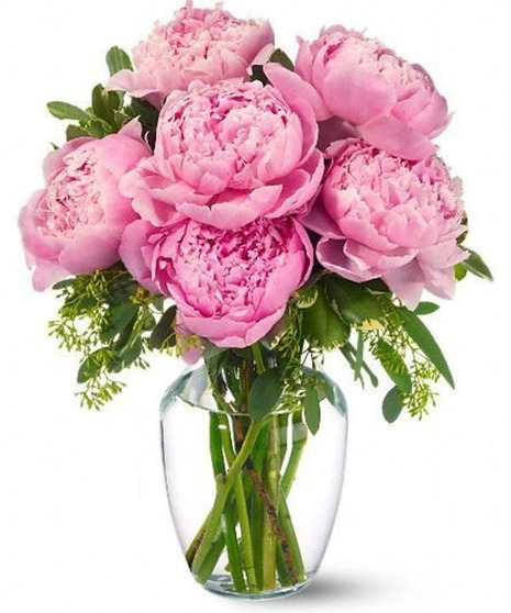Peonies in Pink in Boston (MA) Central Square Florist