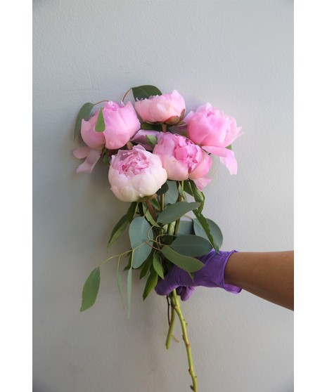 Pink Peony Bunch