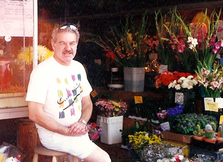 All About Carnations  Central Square Florist Cambridge